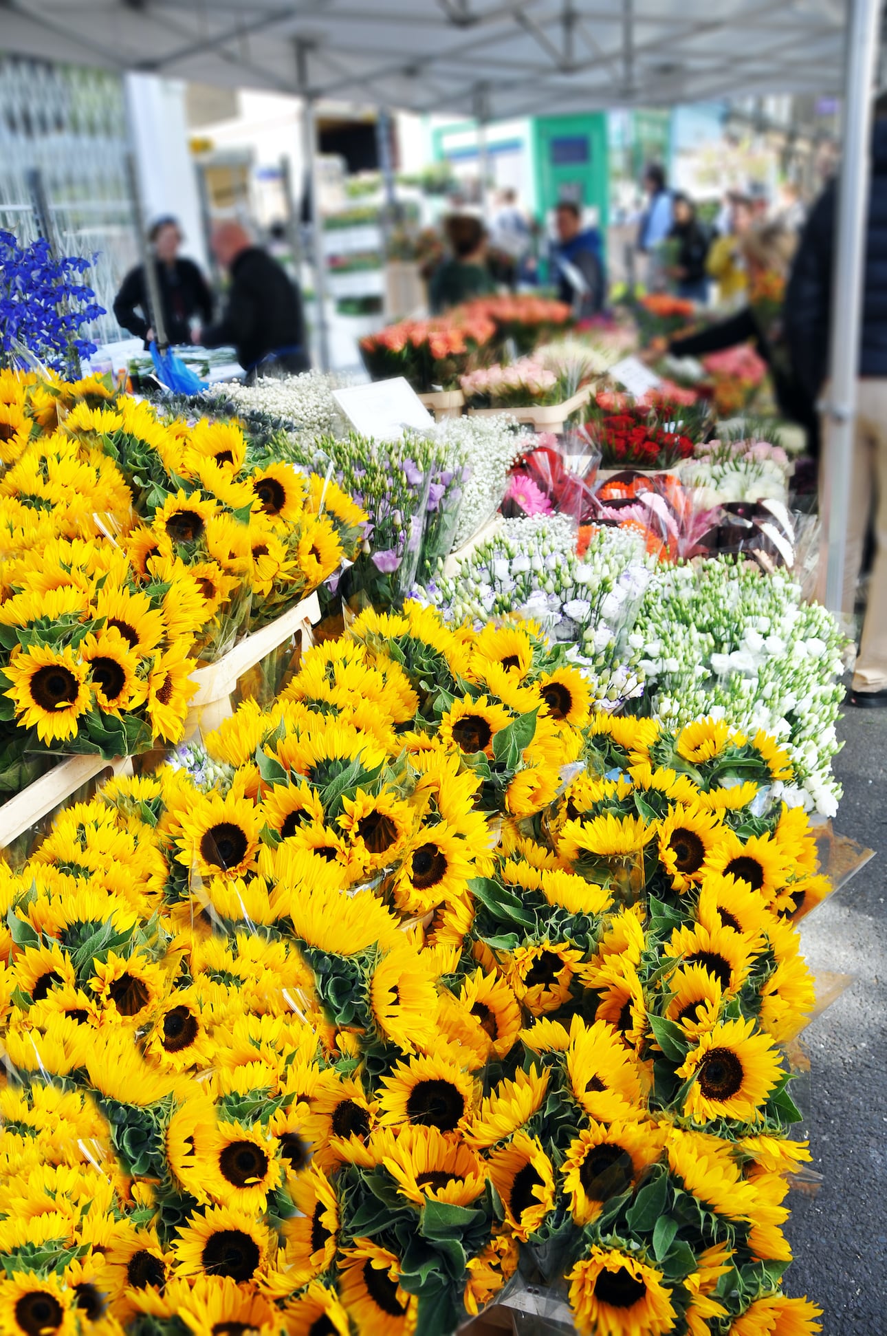 Wer eine alternative Sehenswürdigkeit in London sucht wird auf dem Columbia Road Flower Market glücklich