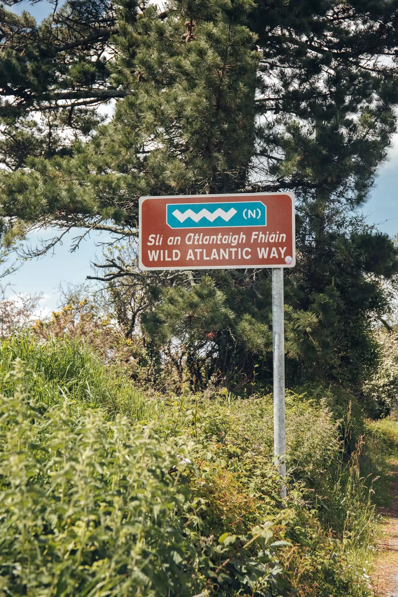 Wild Atlantic Way Route Schild
