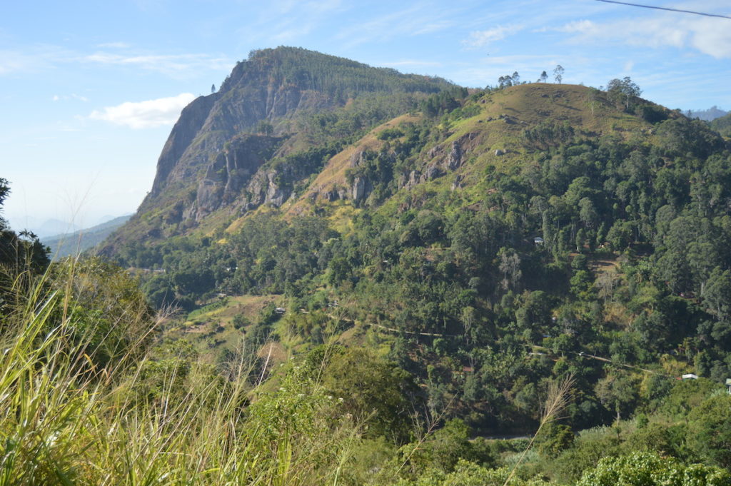 Mount Scenery - Valdivianischer gemäßigter Regenwald
