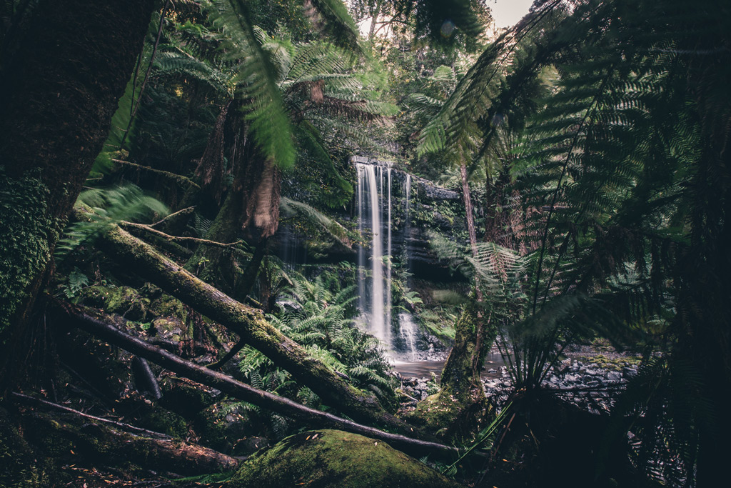 Russel Falls Tasmanien Mount of Field Nationalpark
