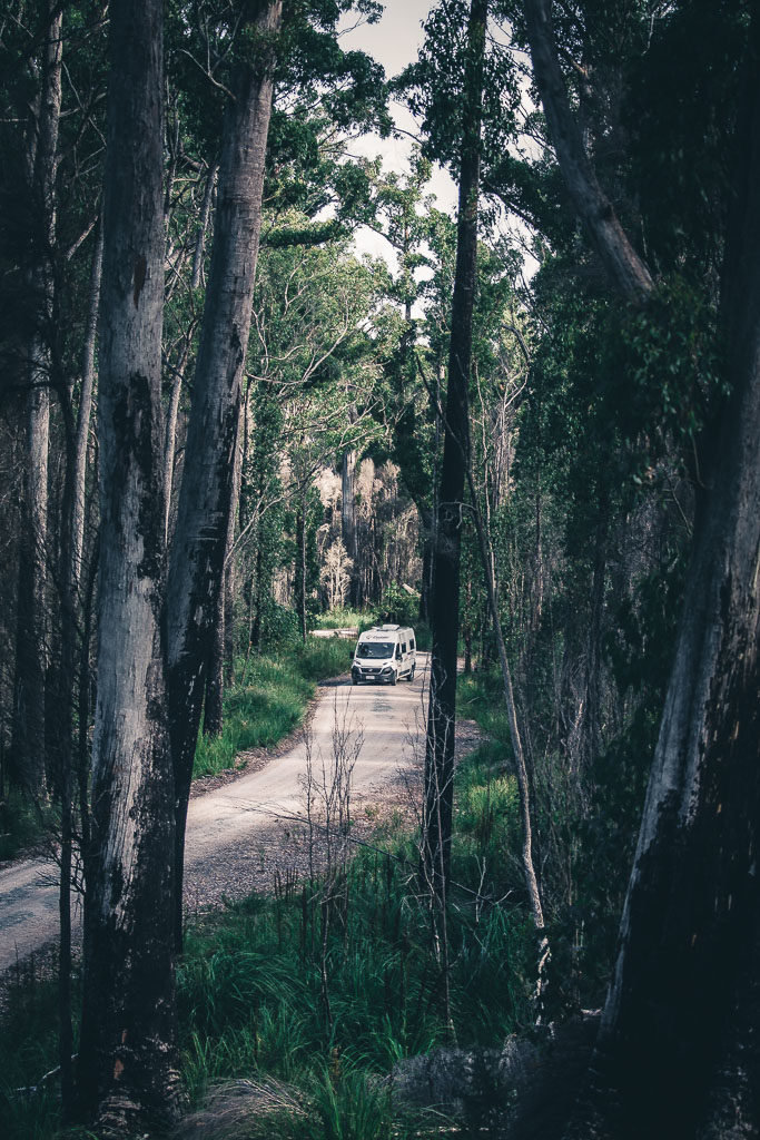 Tasmanien Rundreise Western Explorer Road
