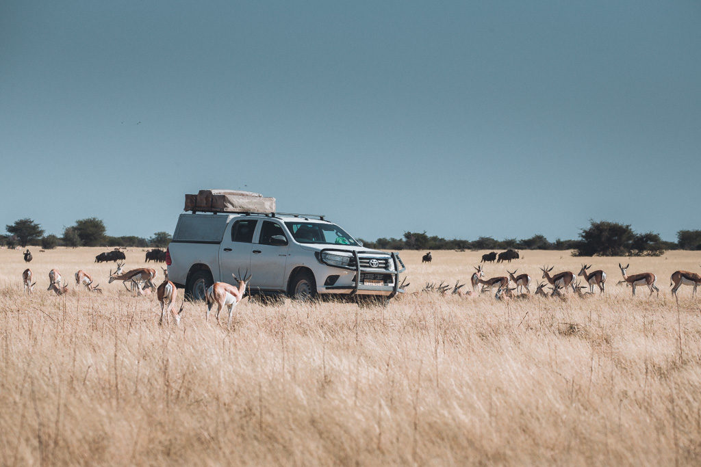 namibia roadtrip auto dachzelt safari etoscha nationalpark