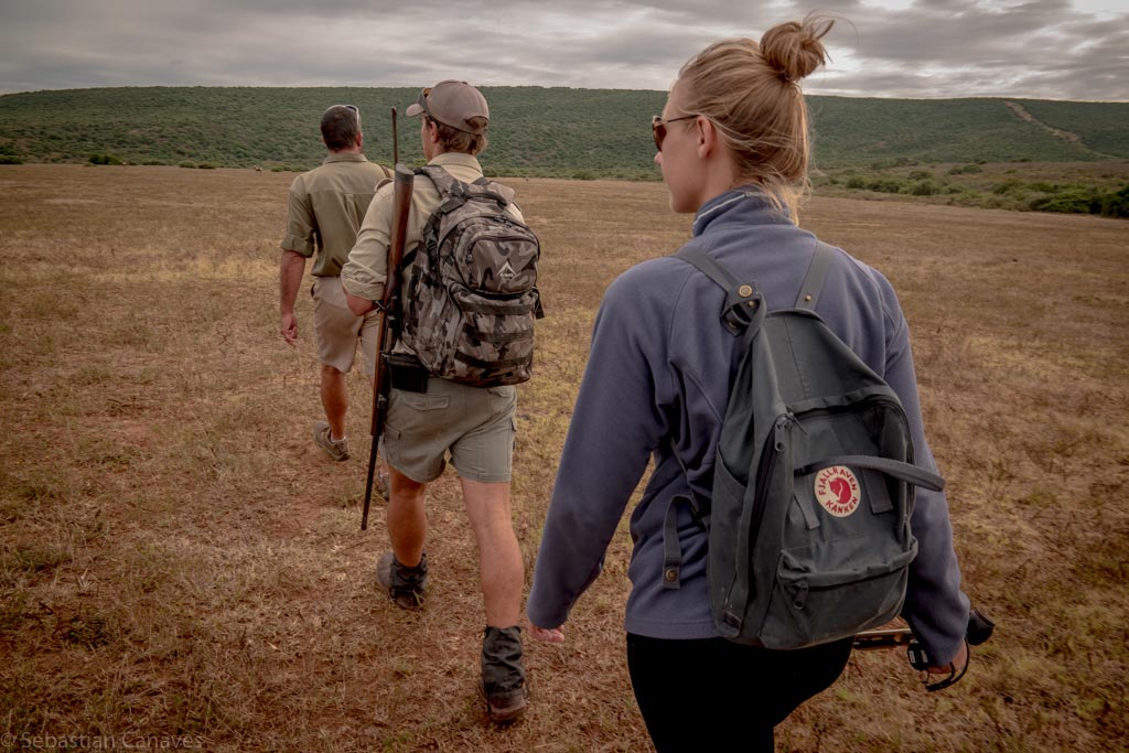 walking safari südafrika auf deiner Weltreise