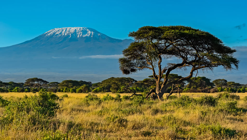 Auf Weltreise Kilimandscharo - Amboseli Nationalpark