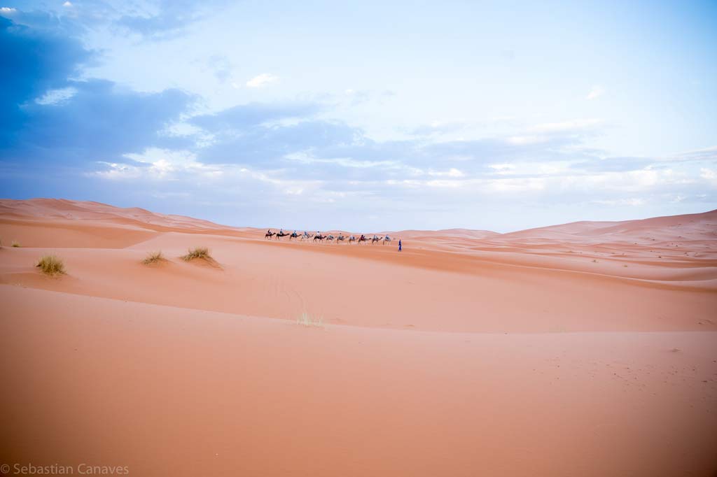 Schlecht - Sahara Wüste