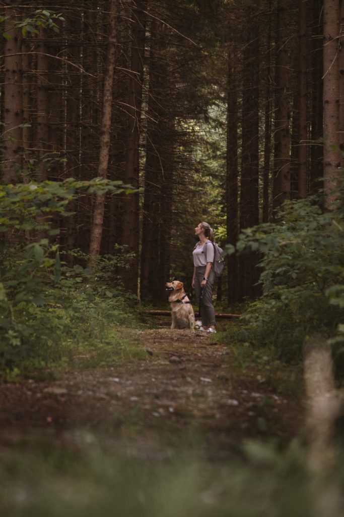Frau steht mit Hund im Wald vom Murnauer Moos