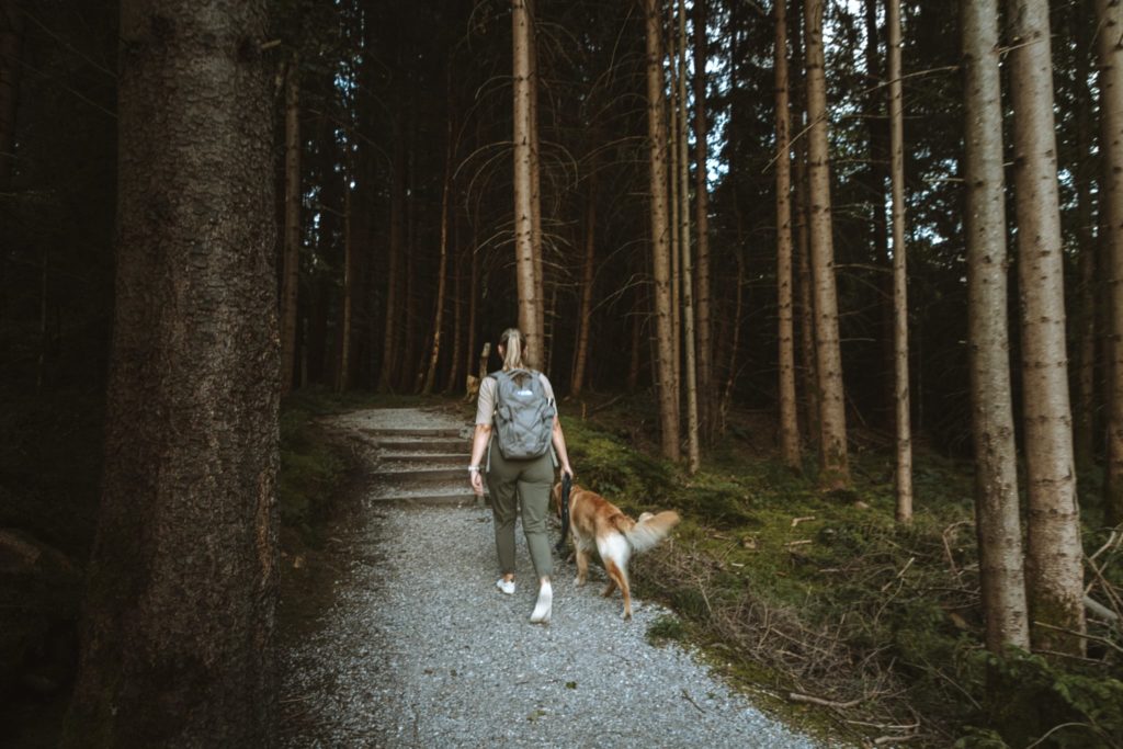 Frau läuft mit Hund durch den Wald im Murnauer Moos