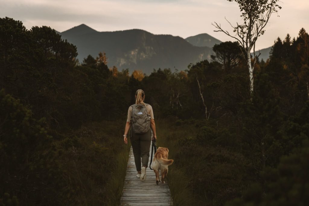 Frau wandert mit Hund über den Bohlenweg im Murnauer Moos