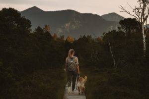Frau läuft mit Hund über den Bohlenweg im Murnauer Moos