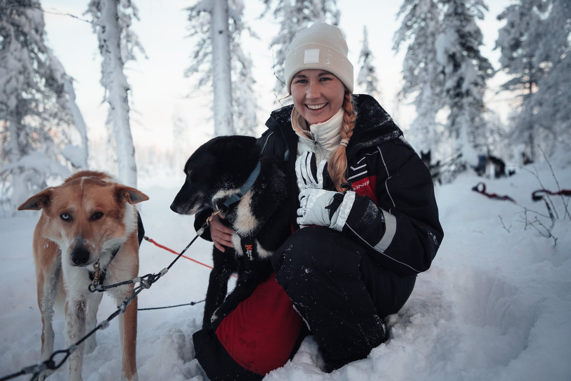 Frau mit Huskys bei Hundeschlittentour durch Finnisch Lappland