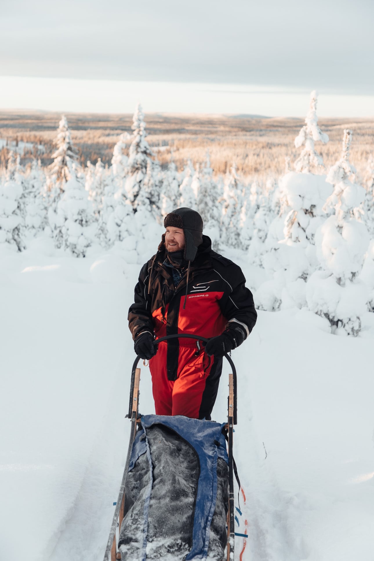 Mann auf Schlitten bei Huskytour in Lappland