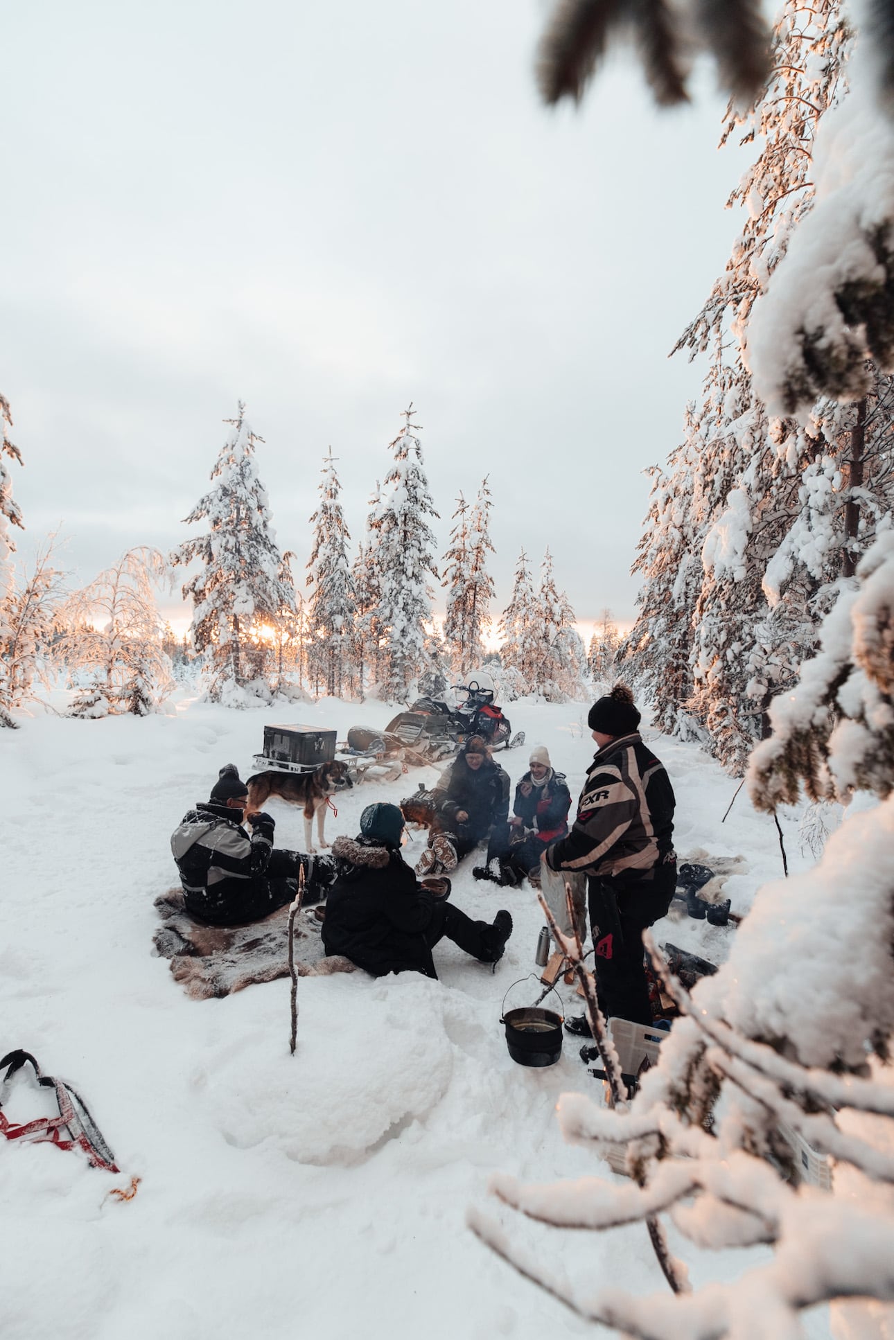 Gruppe macht Pause bei Huskytour in Lappland