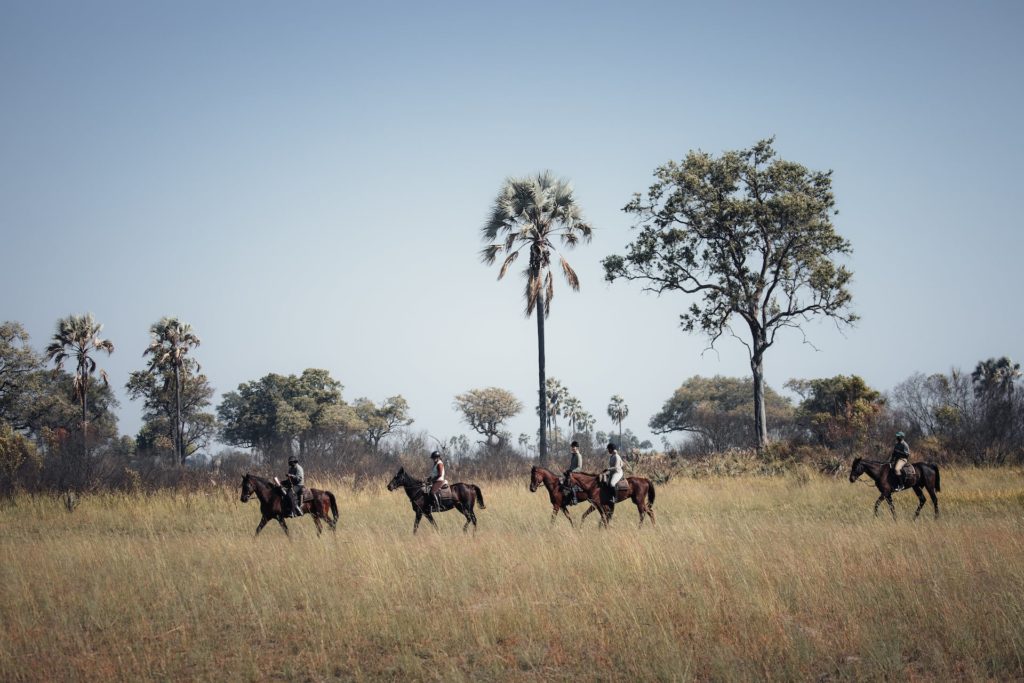 Gruppe Reiter auf Reitsafari im Okavango Delta