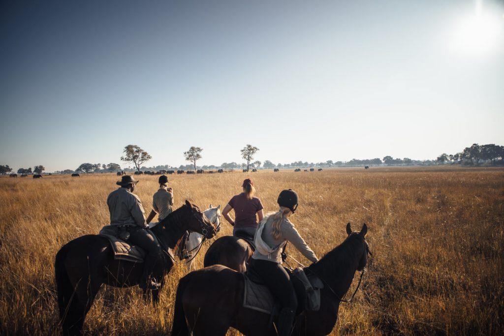 Gruppe an Reitern beobachtet große Elefantenherde im Okavango Delta