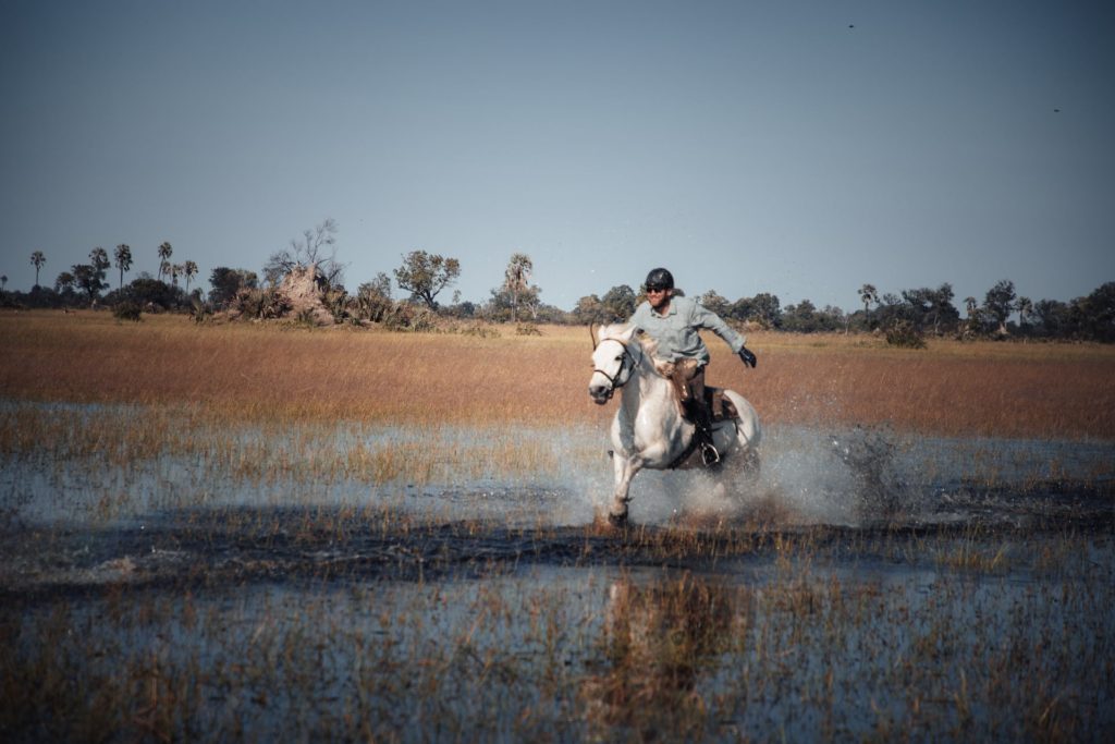 Mann galoppiert mit Pferd durchs Wasser im Okavango Delta