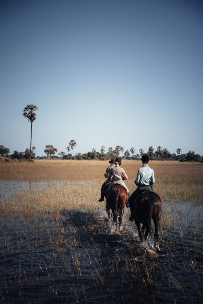 Eine Gruppe reitet durchs Wasser auf Reitsafari im Okavango Delta
