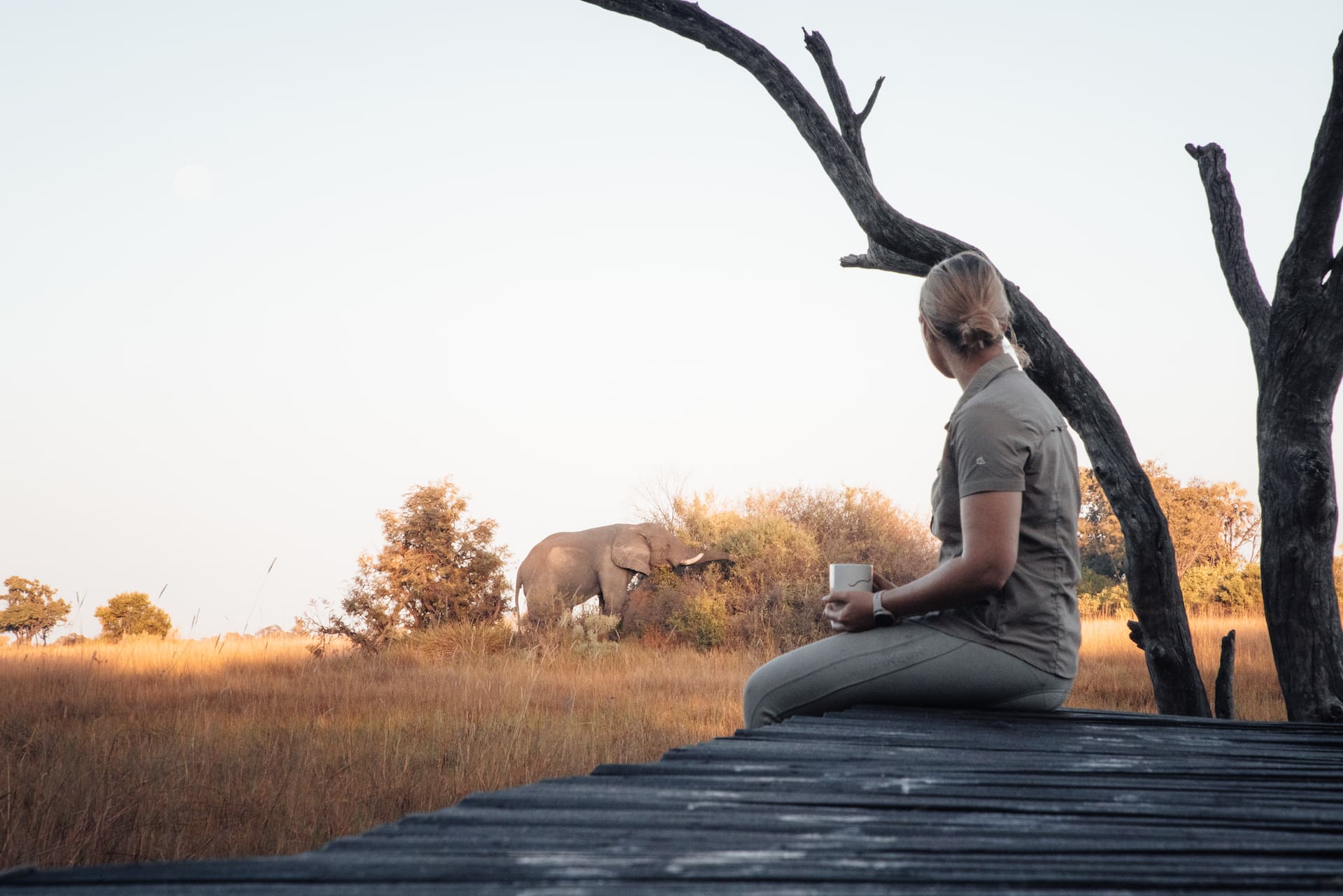 Frau beobachtet Elefant beim Fressen im Okavango Delta