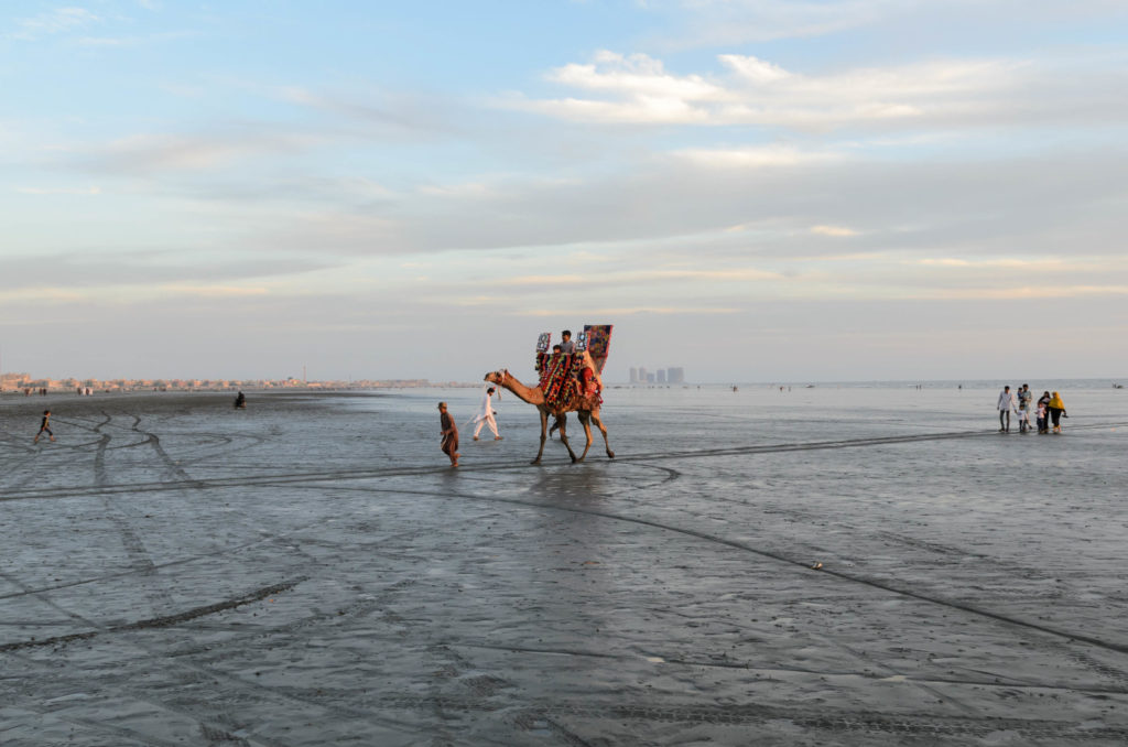 beschmücktes Kamel mit Reiter im Watt