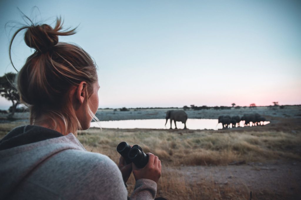 Frau beobachtet Elefanten am Wasserloch im Etosha Nationalpark