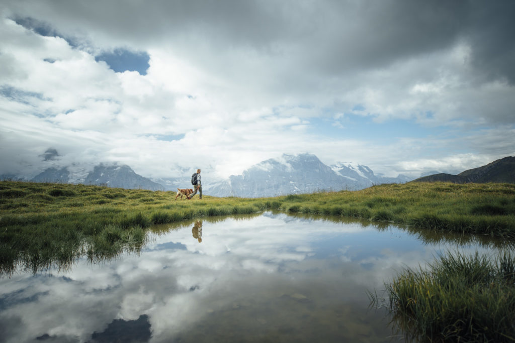 Frau wandert mit Hund in den Alpen. Vordergrund ein See. Hintergrund Berge und Gletscher