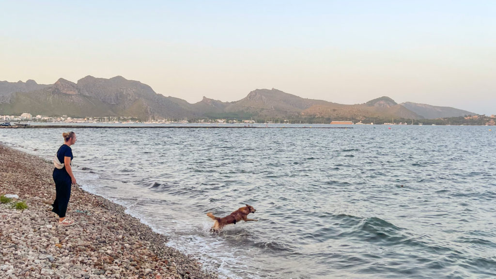 Frau spielt mit ihrem Hund an Hundestrand auf Mallorca