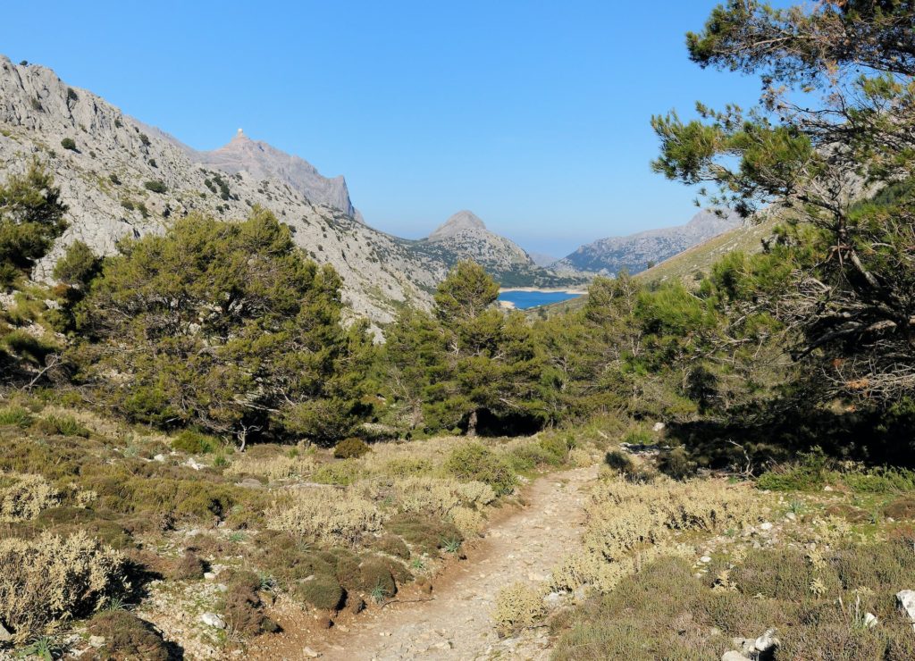 Die Wanderung hoch zum Puig de l'Ofre auf Mallorca bietet tolle Ausblicke