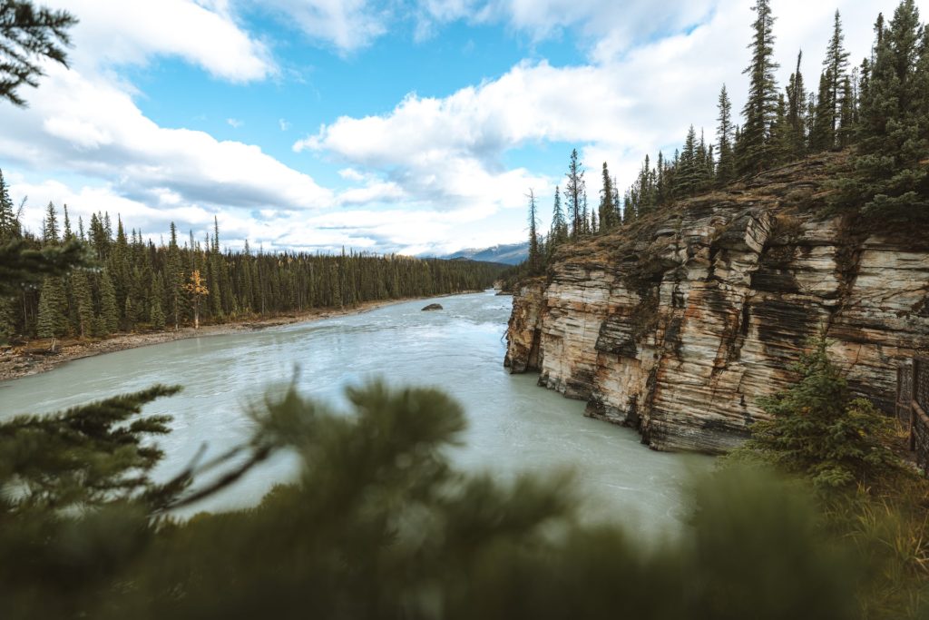 Der Athabasca River entlang des Icefields Parkway in Kanada