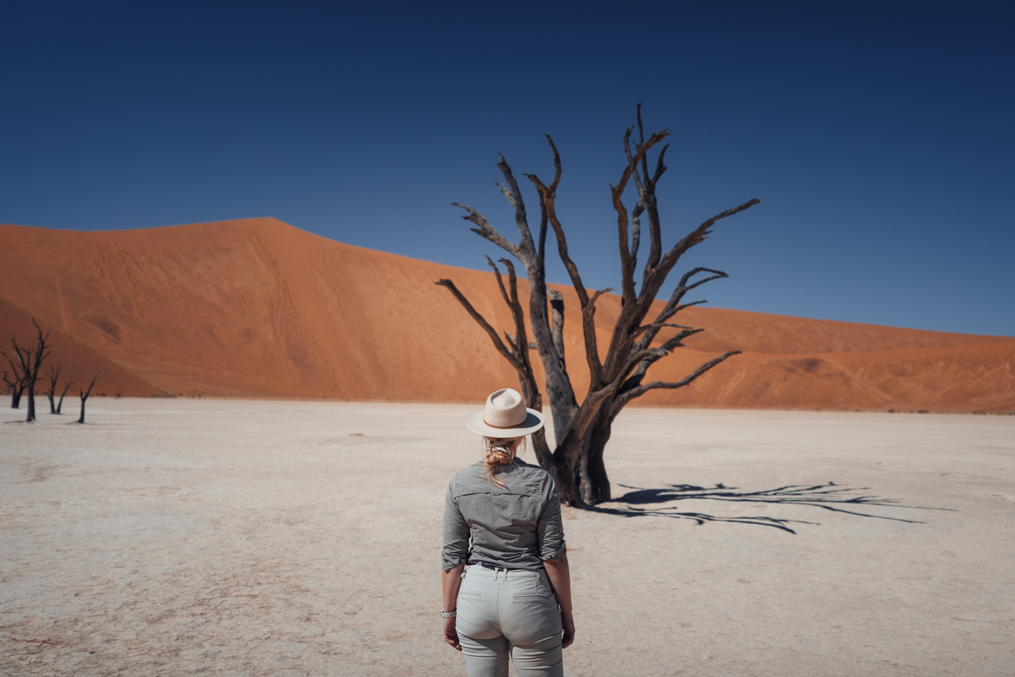 Frau blickt auf Baum im Sossusvlei, einer der Top Namibia Sehenswürdigkeiten