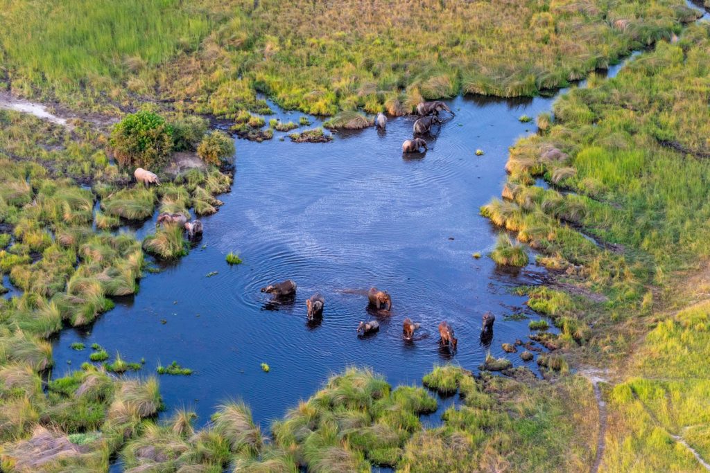 Die Flut im Okavango Delta gehört zu den Highlights einer Botswana Reise