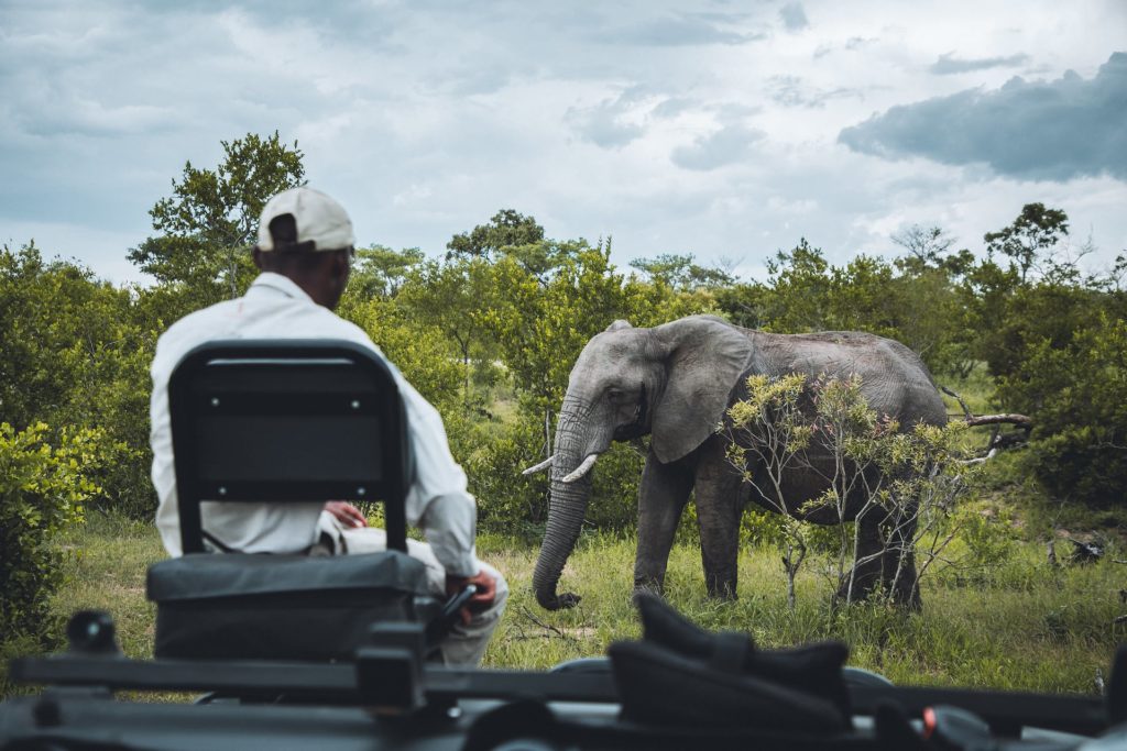 Der Kruger Nationalpark ist der bekannteste Nationalpark in Südafrika