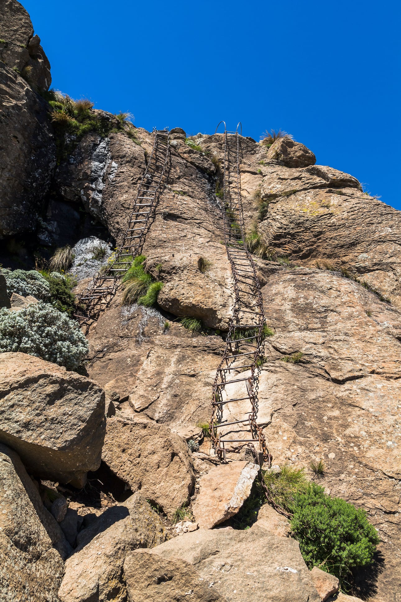 Leiter Sentinel Hike Drakensberge Südafrika