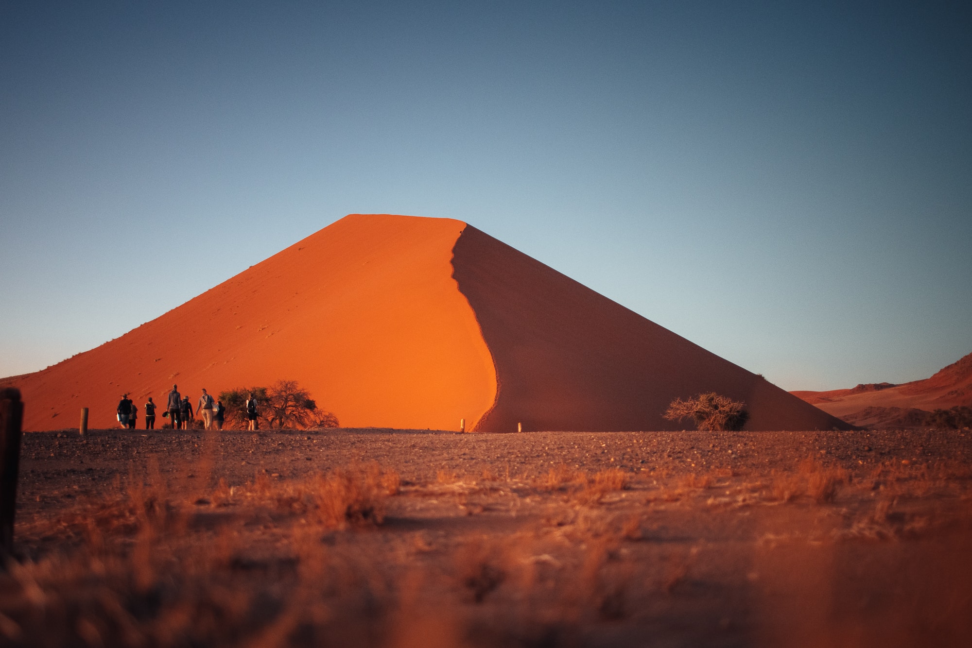 Dune45 in der Namib-Wüste