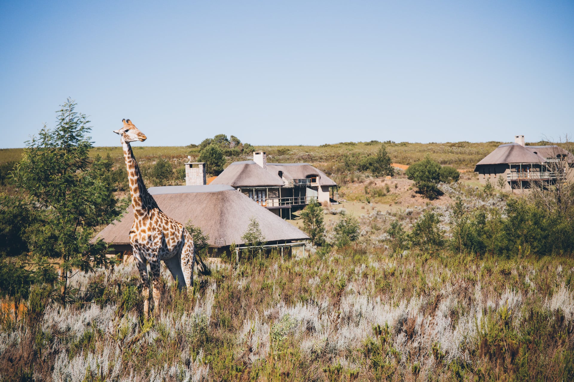 Das sind die schönsten Südafrika Lodges