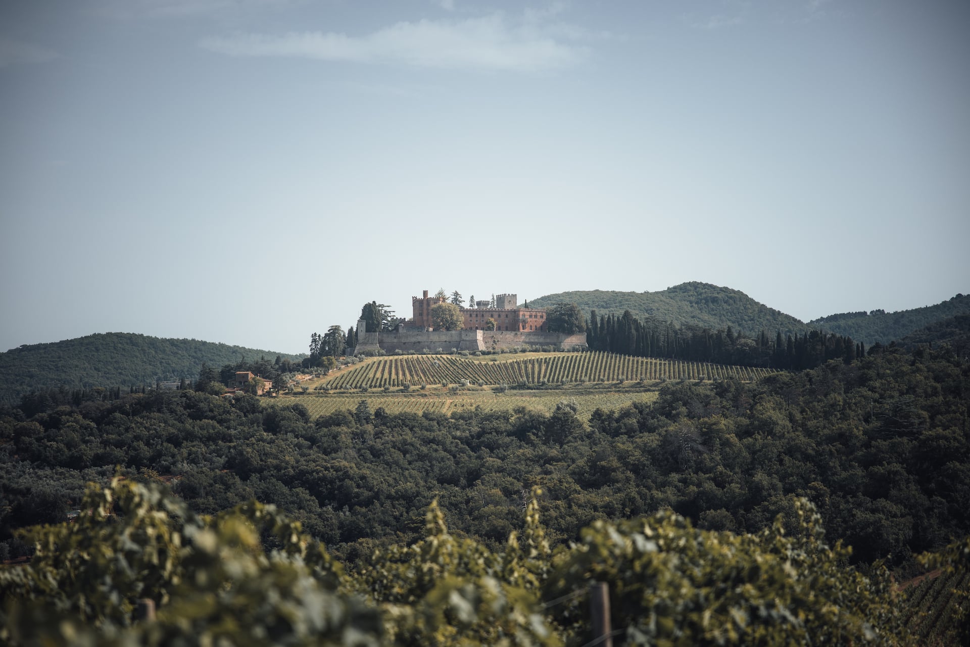 Hügelige Landschaft der Toskana mit Weinreben