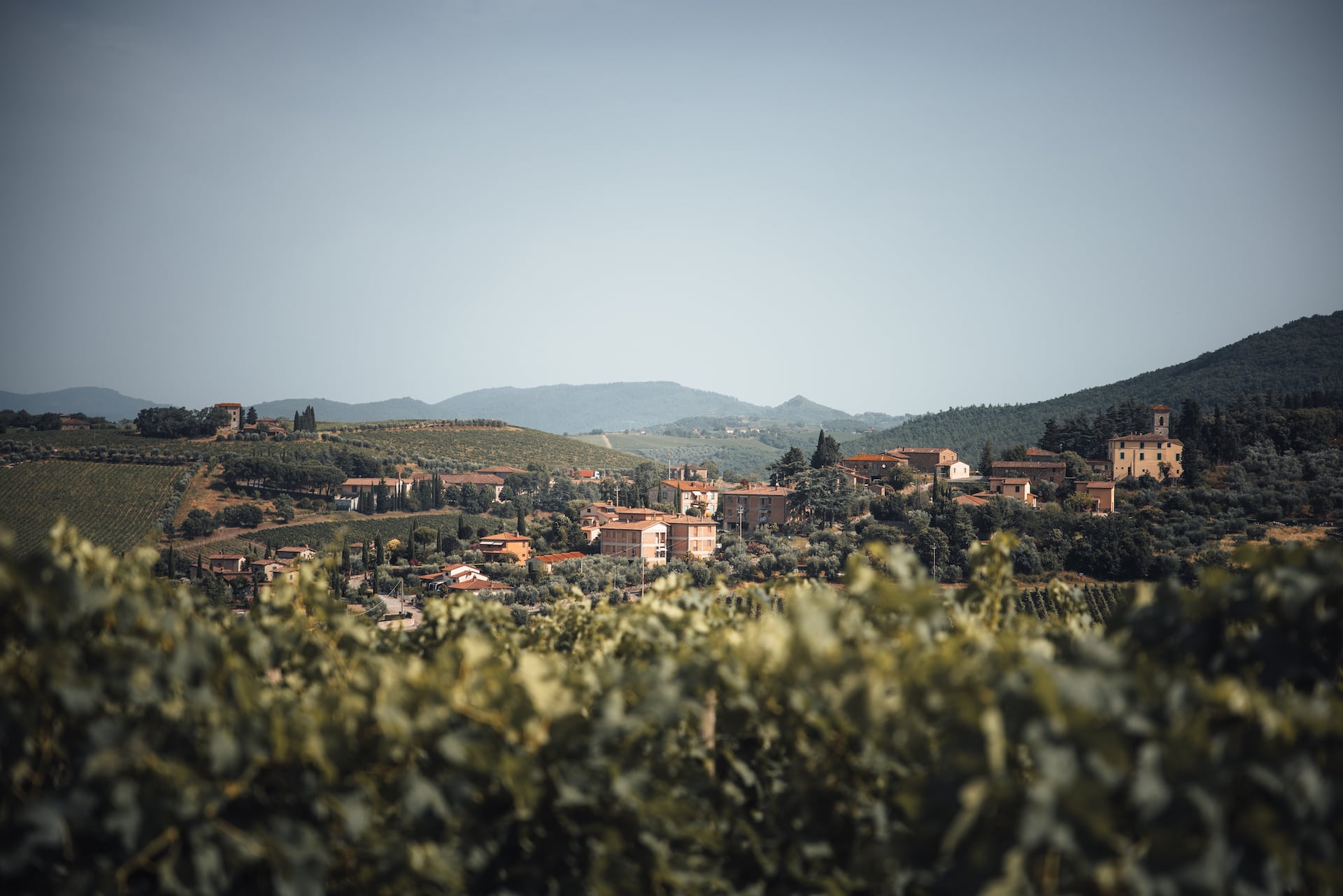 Landschaft Chianti Region beim Vespa Trip durch die Toskana