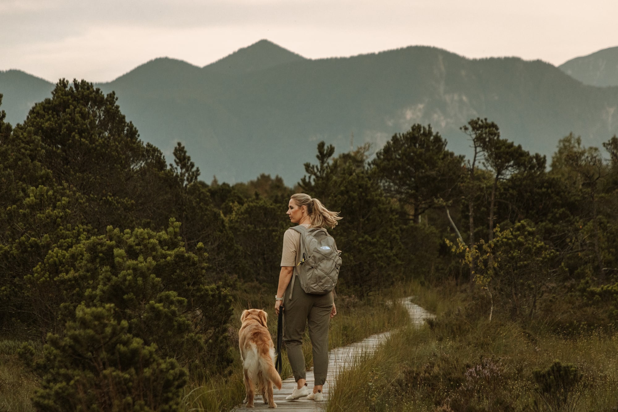 Wanderausflug Murnauer Moos auf dem Holzsteg mit Hund