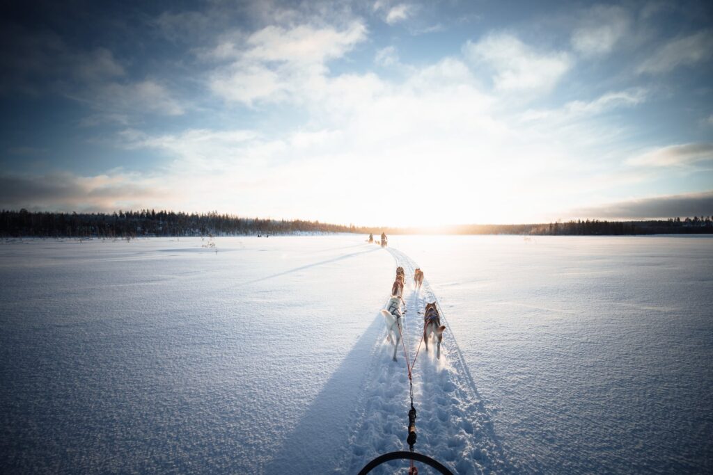 Unsere Hundeschlittentour in Lappland in Finnland