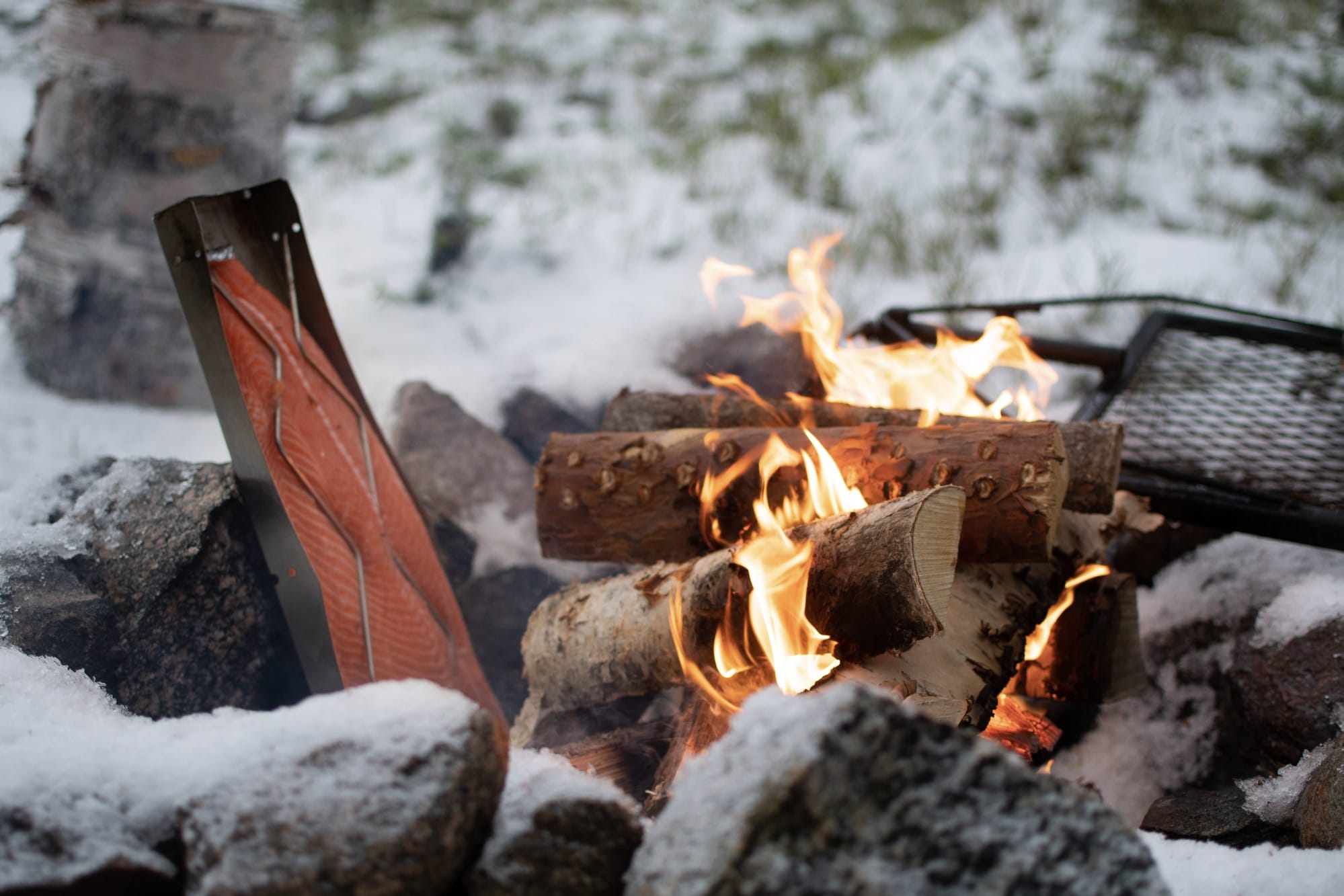 Essen in Finnisch Lappland: Lachs wird über dem Lagerfeuer zubereitet