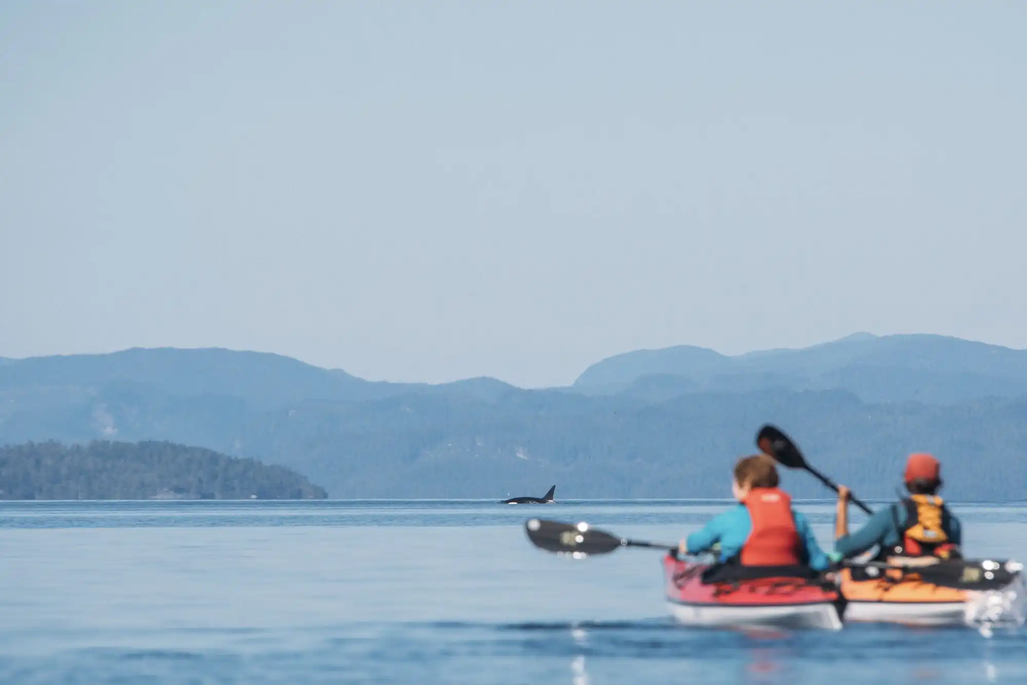 Kajaken auf deiner Weltreise-Route Mit Orcas Vancouver Island