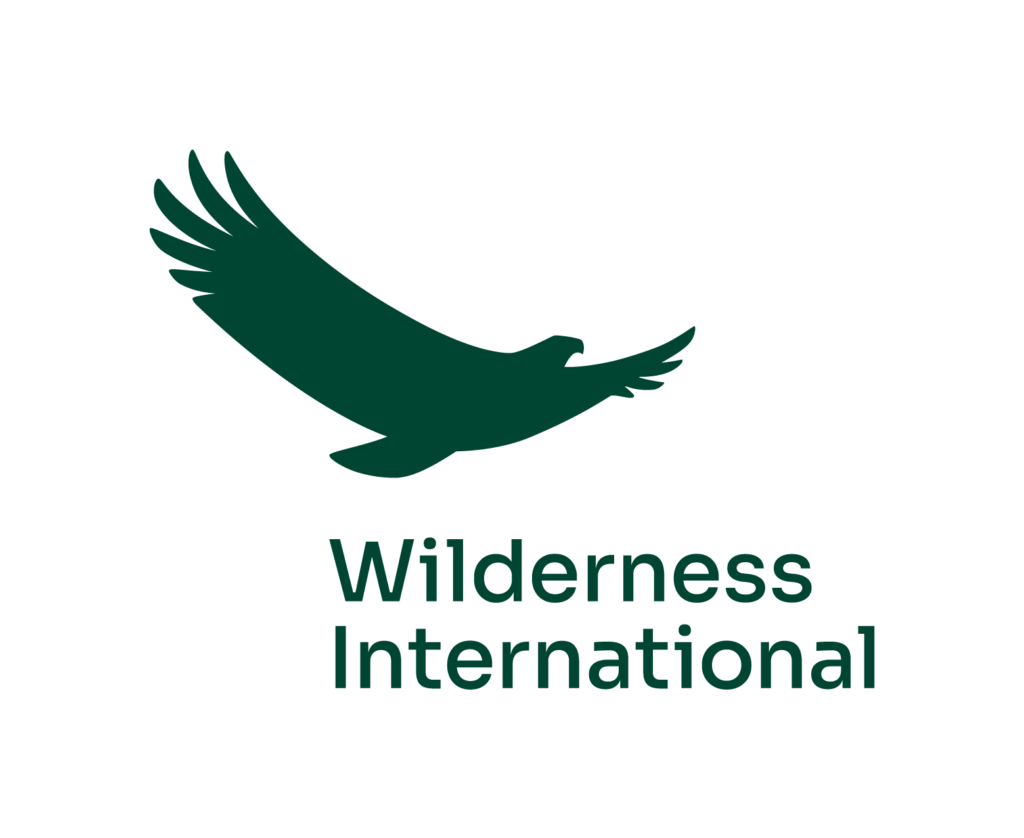 Wilderness International Logo