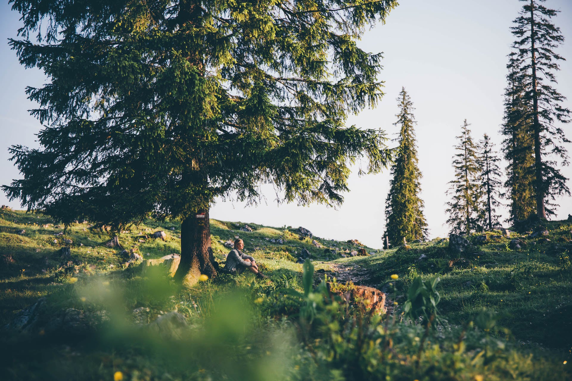 Wanderer sitzt unter einem Baum auf einer Hüttentour Berchtesgadener Land