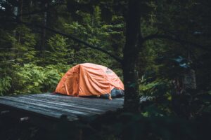 Wildcampen In Deutschland: Zelt steht in der Natur
