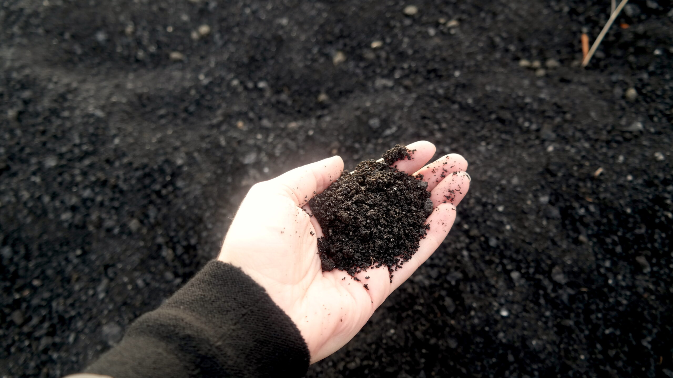 Auf deiner Island Rundreise kannst du schwarzen Sand hautnah erleben.
