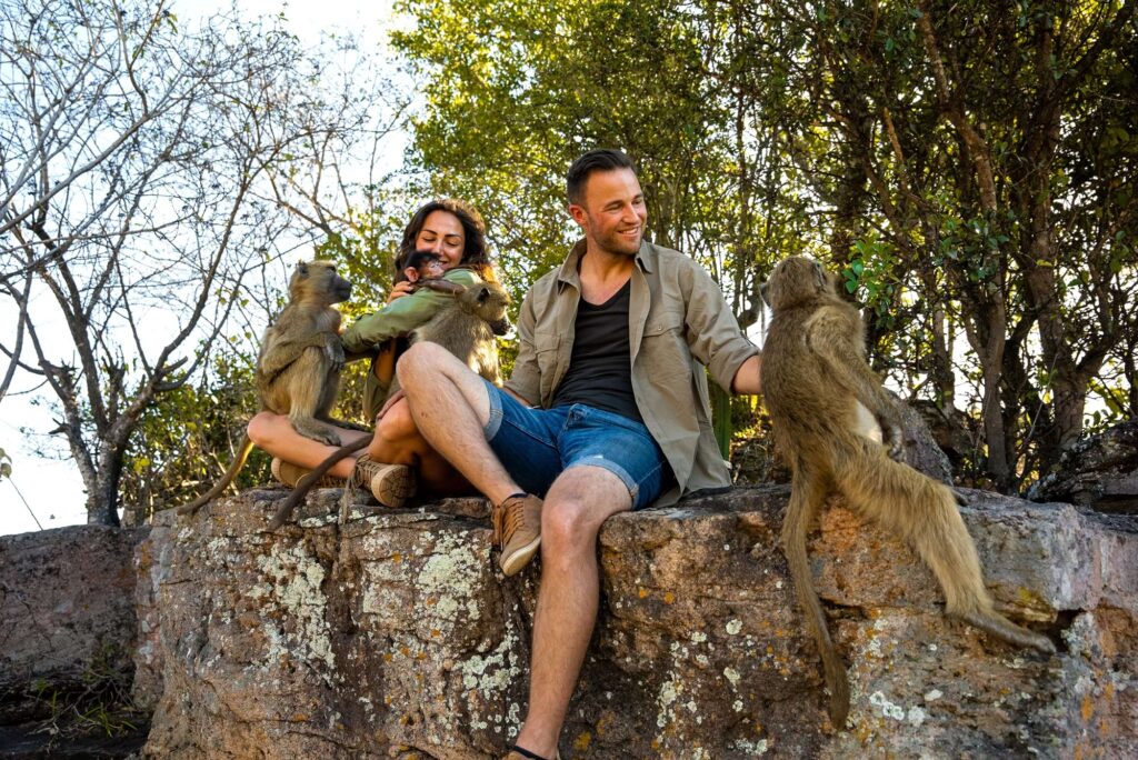 Mann und Frau sitzen auf einem Stein mit vier Affen in den Armen