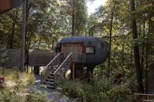 baumhaus harz